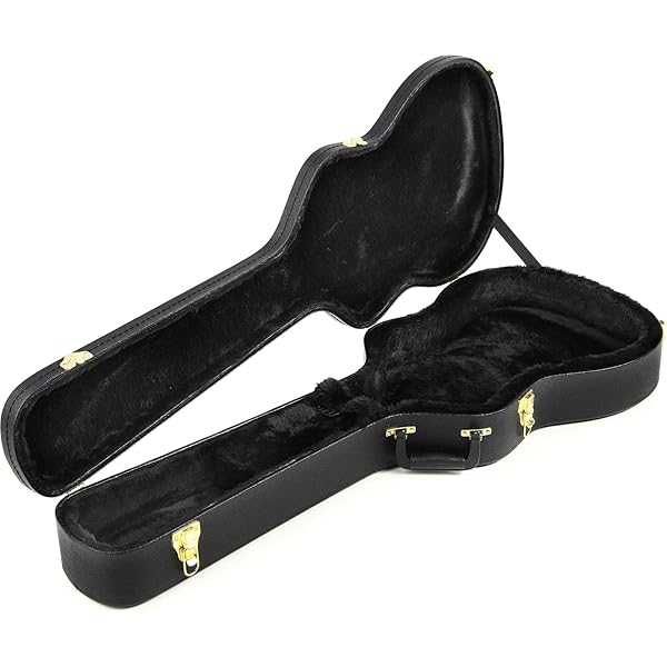 Amazon.com - Ibanez Hardshell Acoustic Case AEL, EW Series Guitars